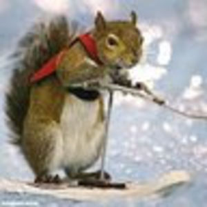 Meet your Posher, Patrick